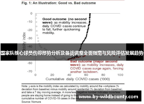 国家队核心球员伤停形势分析及备战调整全面指南与风险评估发展趋势