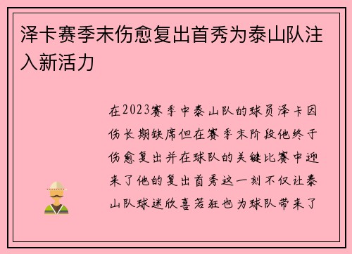 泽卡赛季末伤愈复出首秀为泰山队注入新活力 泽卡赛季末伤愈复出首秀为泰山队注入新活力