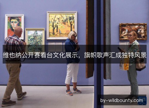 维也纳公开赛看台文化展示，旗帜歌声汇成独特风景
