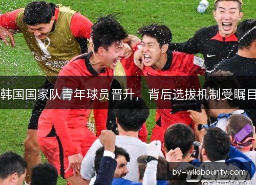韩国国家队青年球员晋升，背后选拔机制受瞩目
