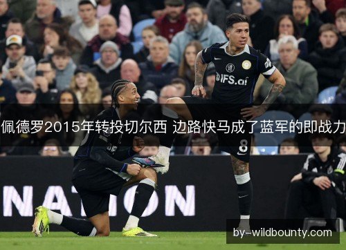 佩德罗2015年转投切尔西 边路快马成了蓝军的即战力